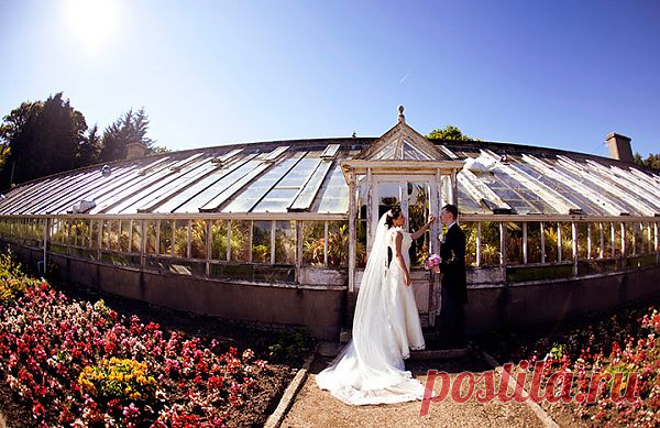 Ирландская сказка: свадьба Марии и Карла - WeddyWood