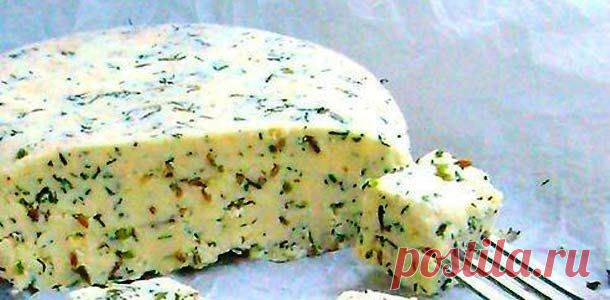 Домашний сыр с зеленью и тмином