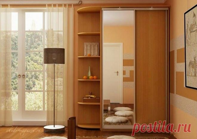 Шкаф купе 2-х дверный с зеркалом купить по цене 27 000 руб. в Москве — интернет магазин chudo-magazin.ru