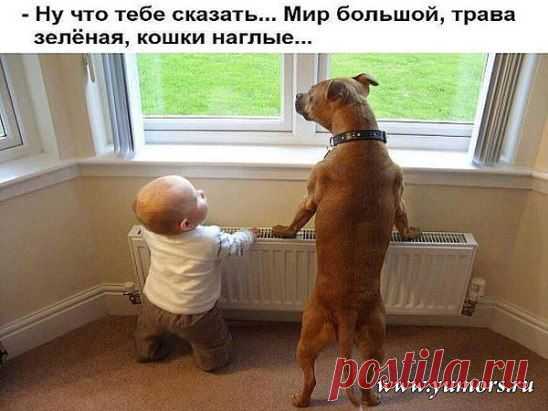Учитель все сказал