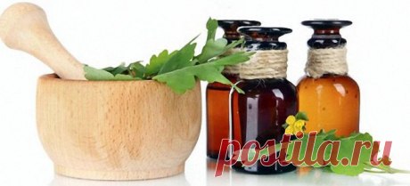 Чистотел – лечение кожных заболеваний