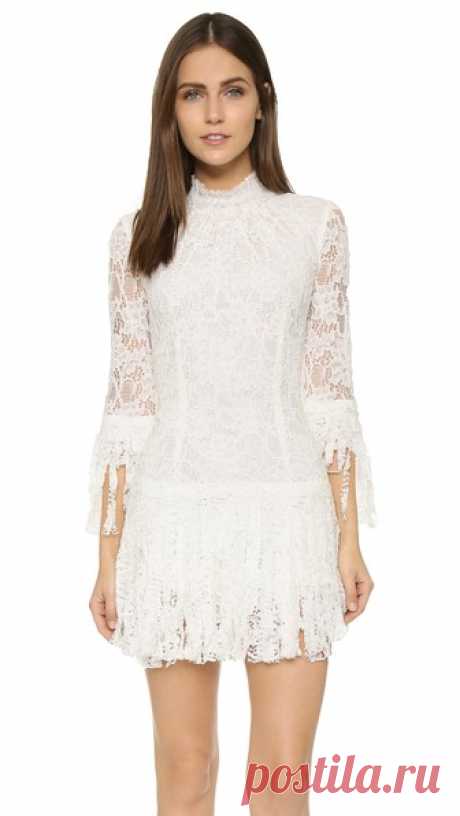 Alexis Sonia Lace Dress