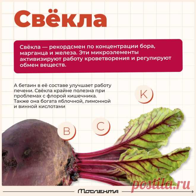 Свекла польза
