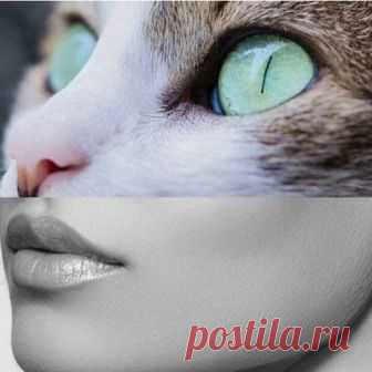 Ирина Садовникова