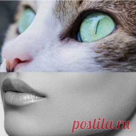 Ирина Садовникова