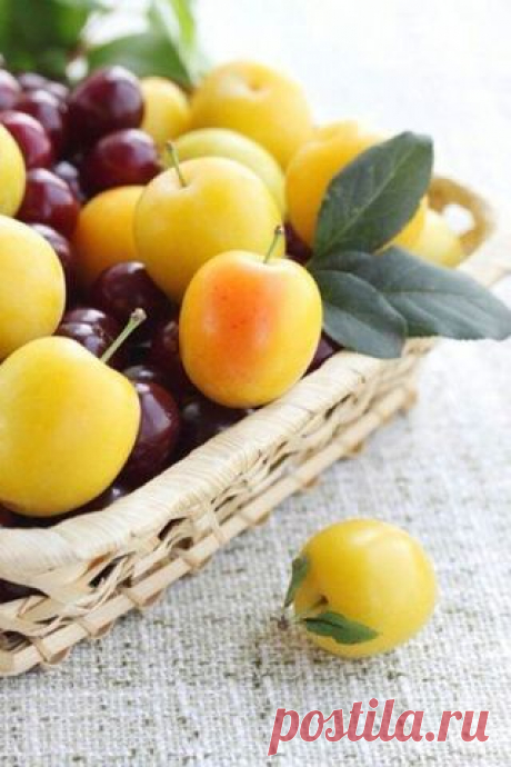 город ХУДЖАНД ленинабад ПРИСОЕДИНЯЙСЯ
30 лет, Таджикистан, Худжанд