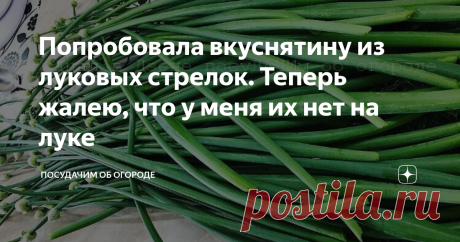 Попробовала вкуснятину из луковых стрелок. Теперь жалею, что у меня их нет на луке На Дзене очень много статей про различные способы, которые гарантируют выращивание лука без стрелок. Скажу не тая, я тоже раньше заморачивалась, лишь бы их не было. А в этом году ничего не делала специально. В прошлом году меня угостили обалденной вкуснятиной из луковых стрелок. Так что, если они у меня и будут в этом сезоне, обязательно сделаю. Делюсь рецептом! Но, прежде чем я продолжу, хо...