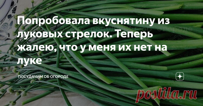 Попробовала вкуснятину из луковых стрелок. Теперь жалею, что у меня их нет на луке На Дзене очень много статей про различные способы, которые гарантируют выращивание лука без стрелок. Скажу не тая, я тоже раньше заморачивалась, лишь бы их не было. А в этом году ничего не делала специально. В прошлом году меня угостили обалденной вкуснятиной из луковых стрелок. Так что, если они у меня и будут в этом сезоне, обязательно сделаю. Делюсь рецептом! Но, прежде чем я продолжу, хо...