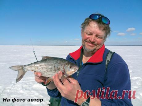 Когда шевельнулась сорога  

Между нами, рыболовами, говоря, плотва клюет и по первому льду, и в середине зимы – и далеко не только в период внезапно отступившего холода, но и в сильный мороз. Другое дело, что клев этот неусто…