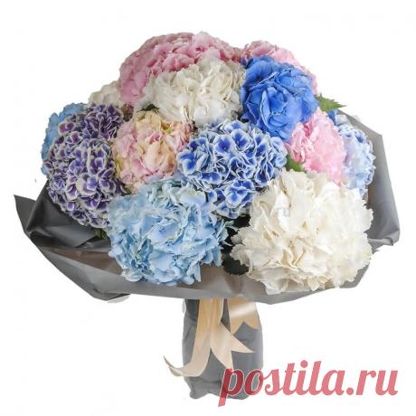 Купить букет гортензия в Москве недорого - в ВОКРУГ ЦВЕТОВ с доставкой бесплатно.