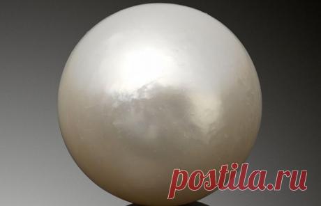 ИТАР-ТАСС: Культура - Установлен мировой рекорд аукционной цены за природную жемчужину