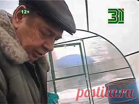 Смотреть: Томаты без рассады томаты для северо-запада - Сельский портал