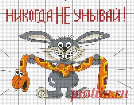 ITmages - хостинг изображений - Просмотр изображения
