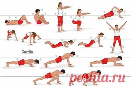 Навстречу плоскому животу