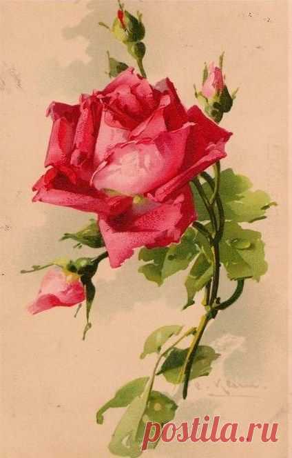 Vintage Images: Catherine Klein postcards | China Painting 7