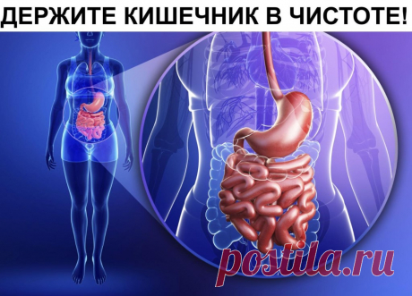 Вы будете поражены тем, как очистится ваш кишечник! Ешьте это на обед 3 дня!