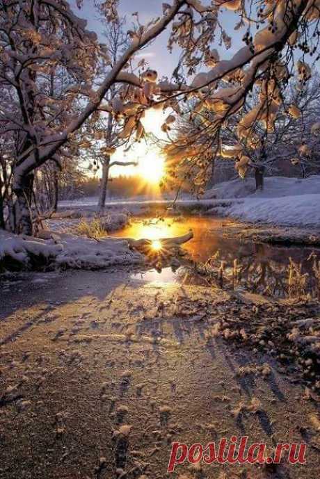 (6) Facebook
