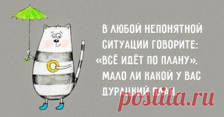 ...поделиться позитивными открытками о счастье