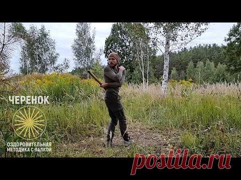 Хочешь здоровый позвоночник и суставы? Делай эти упражнения с палкой!
