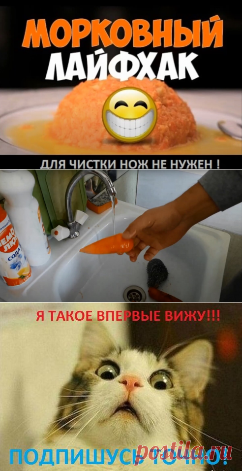 Сенсация! Нож для чистки моркови больше не нужен! | Kruizya Робот Шпиндельман | Яндекс Дзен