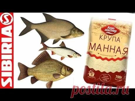 СУПЕР МАНКА для рыбалки Уловистая манка на карася, леща, сороги, плотвы и белой рыбы  Просто и бысто