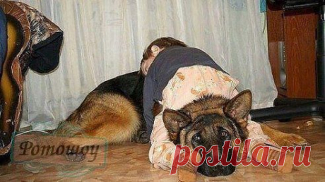 Тихий час и попробуй тявкнуть..