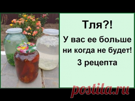 ТЛЯ?! У ВАС ЕЕ БОЛЬШЕ НЕ БУДЕТ СУПЕР ЭФФЕКТИВНОЕ СРЕДСТВО