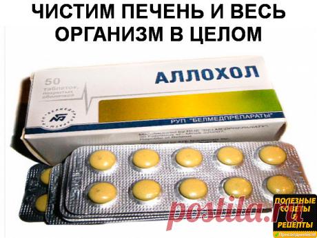 (51) Одноклассники