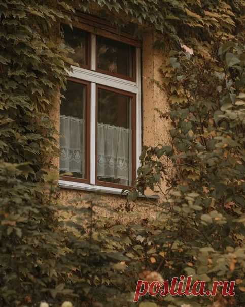 Осенний Берлин