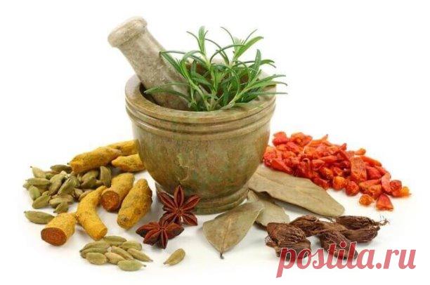 Гипотиреоз: как правильно подобрать лечебные травы

Гипотиреоз — болезнь, от которой чаще всего страдают женщины.Гипотиреоз возникает, когда щитовидная железа перестает работать так активно, как она обычно делает, и перестает производить гормоны. Гормоны щитовидной железы необходимы для нормального обмена веществ и, как следствие, крепкого здоровья.Зачастую гипотиреоз становится хроническим заболеванием, и пациенты вынуждены каждый день принимать ливотироксин натрия в табл...