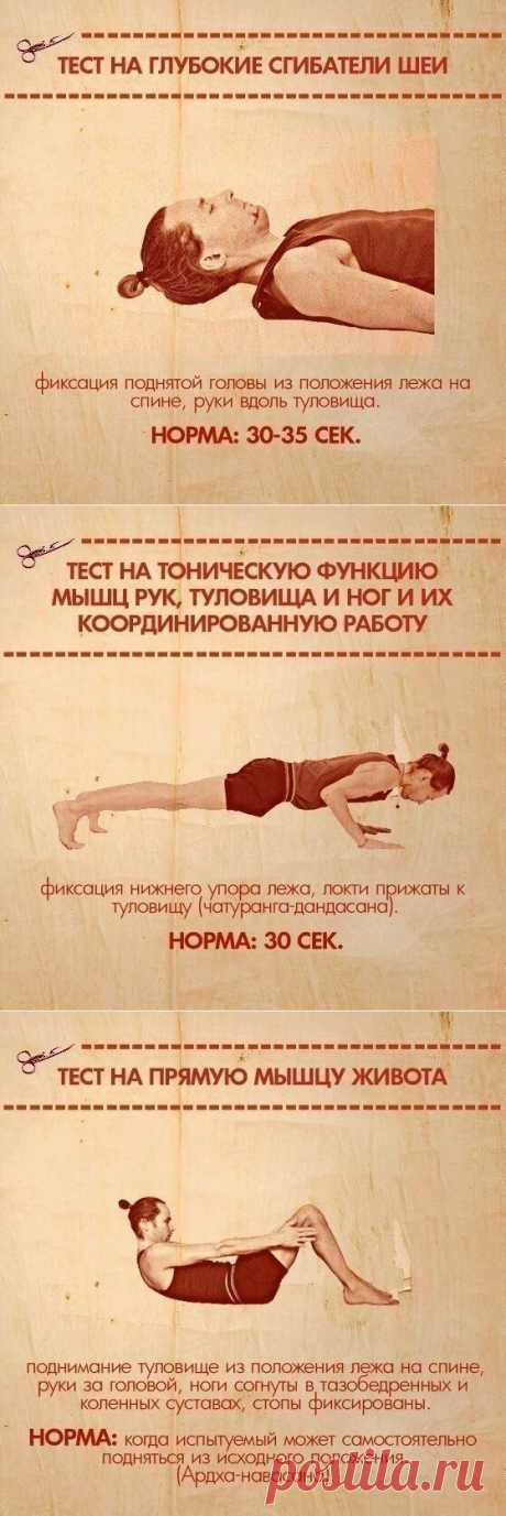 Тесты на функциональную слабость мышц