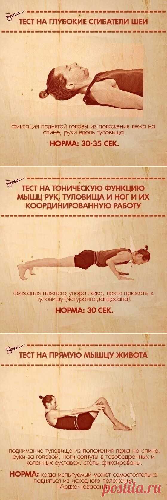 Тесты на функциональную слабость мышц