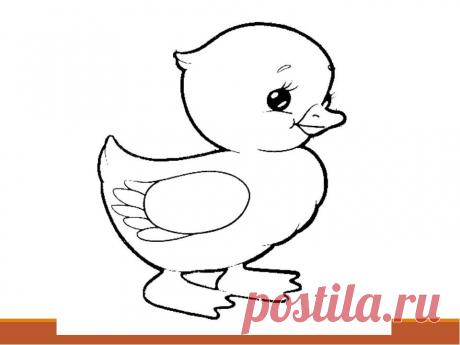Картинка раскраска утенок