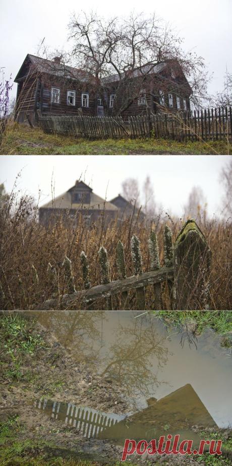 Когда из них уходят люди... | НАШ ГОРОДОК
Умирает село, умирает,
Это сразу заметно теперь,
Не поёт здесь никто,не гуляет..
Не распахнута каждая дверь
Лишь шумят тополя-старожилы,
Словно памятник жизни былой,
Зарастает усадьба крапивой
Где нахмурился домик пустой.
А.Муравьёва