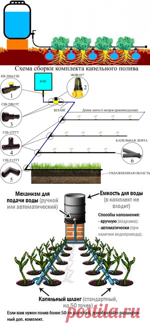 ДАЧНЫЕ ИДЕИ. ПОЛИВАЛКИ.