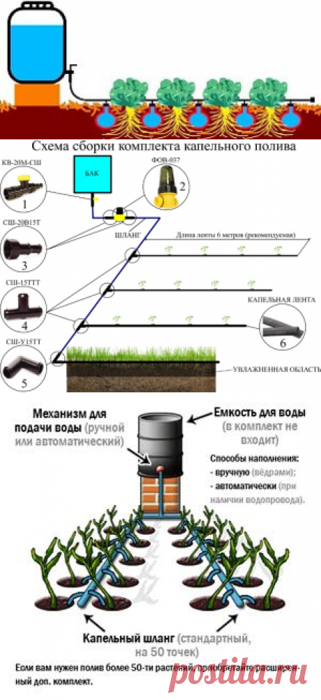 ДАЧНЫЕ ИДЕИ. ПОЛИВАЛКИ.