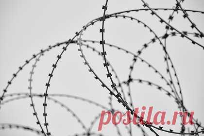 Двум фигурантам дела о бронежилетах добавили статью о даче взятки