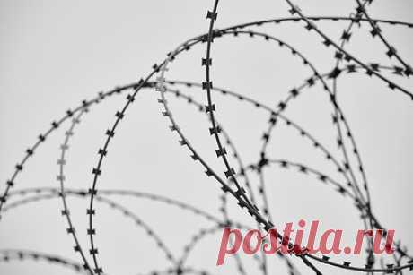 Двум фигурантам дела о бронежилетах добавили статью о даче взятки