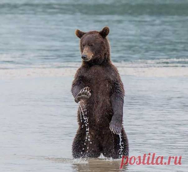 С днём приманивания хорошего настроения (25 фото) . Тут забавно !!!
