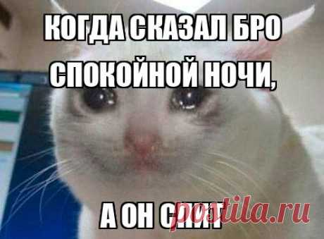 Желаю доброй, спокойной ночи, чудесных, красочных сновидений и крепкого, здорового сна! спокойной ночи открытка мем