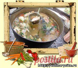 Уха из сома - Рецепт приготовления