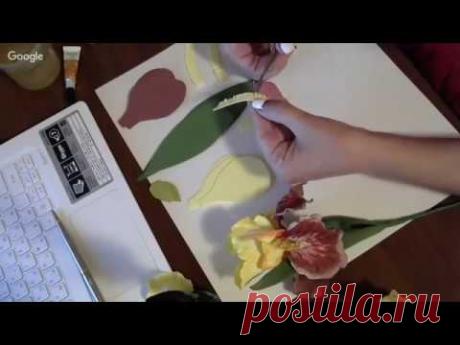 ирис из фома