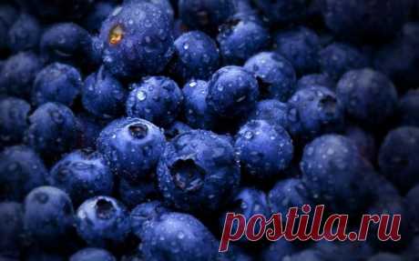 Лёгкие перекусы всего на 100 калорий, которые впишутся в любой рацион Люди, сидящие на диете, а также те, кто ведёт здоровый образ жизни, должны знать, что перекусы могут быть как отличным союзников в борьбе с лишними килограммами, так и злейшим врагом похудения. Чтобы ...