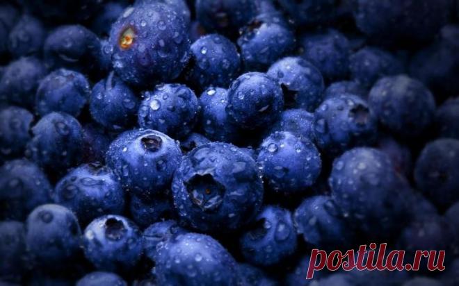 Лёгкие перекусы всего на 100 калорий, которые впишутся в любой рацион Люди, сидящие на диете, а также те, кто ведёт здоровый образ жизни, должны знать, что перекусы могут быть как отличным союзников в борьбе с лишними килограммами, так и злейшим врагом похудения. Чтобы ...