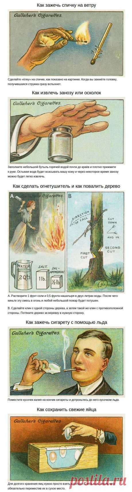 Советы из прошлого — Делимся советами