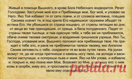 Яндекс Картинки: поиск по изображению