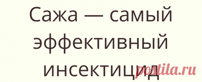 Сажа — самый эффективный инсектицид
Известно, что при топке любых печей дровами идёт активное обра­зование сажи, от...
Читай дальше на сайте. Жми подробнее ➡