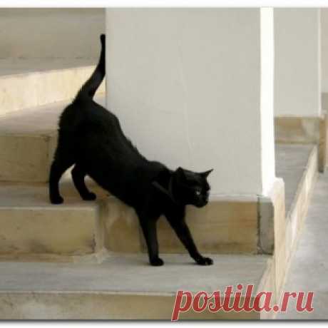 КАК БОРОТЬСЯ С НЕУДАЧНЫМИ ДНЯМИ....