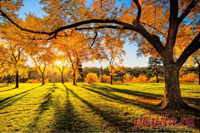 Картинки красивая осень (36 фото) • Прикольные картинки и юмор