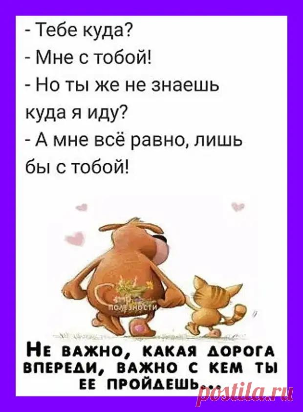 Много свеженького юмора для для чудо-настроения! - Смехотерапия - медиаплатформа МирТесен